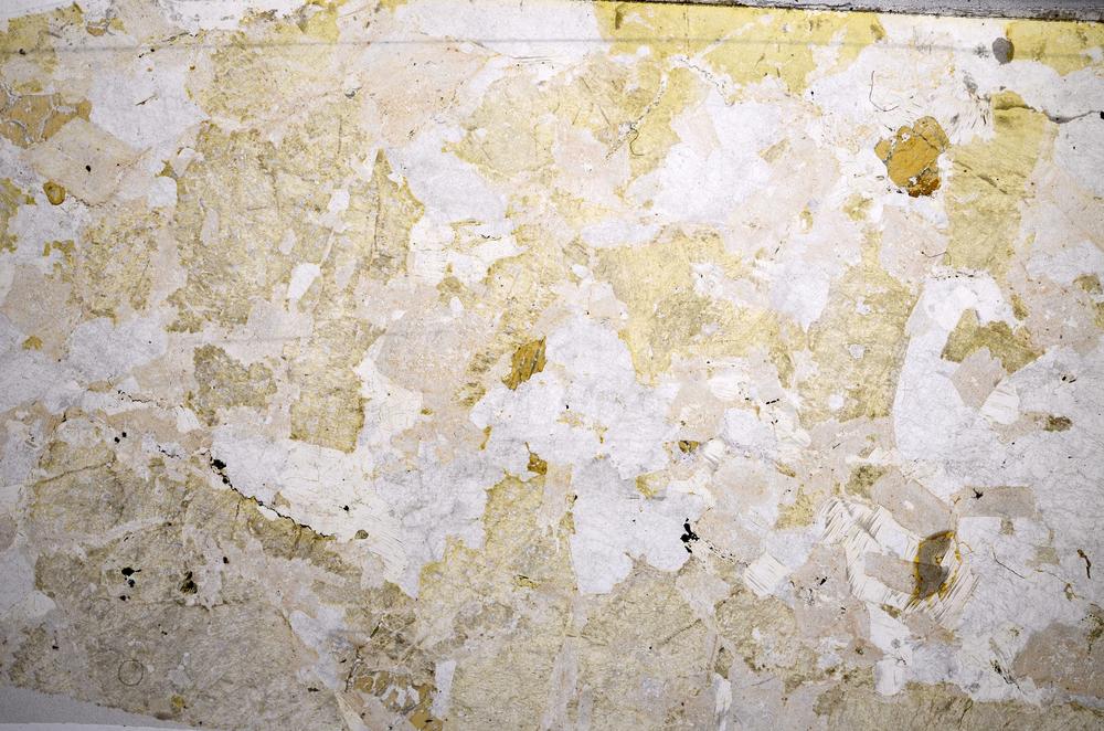 Plane Polarized, E57243