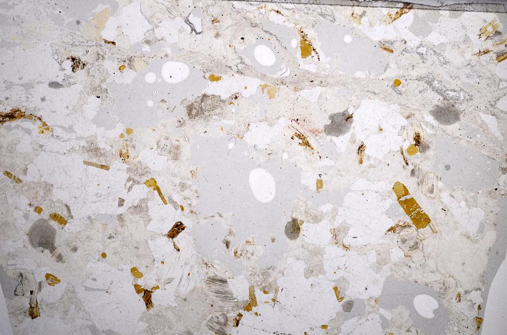 Plane Polarized, E57258