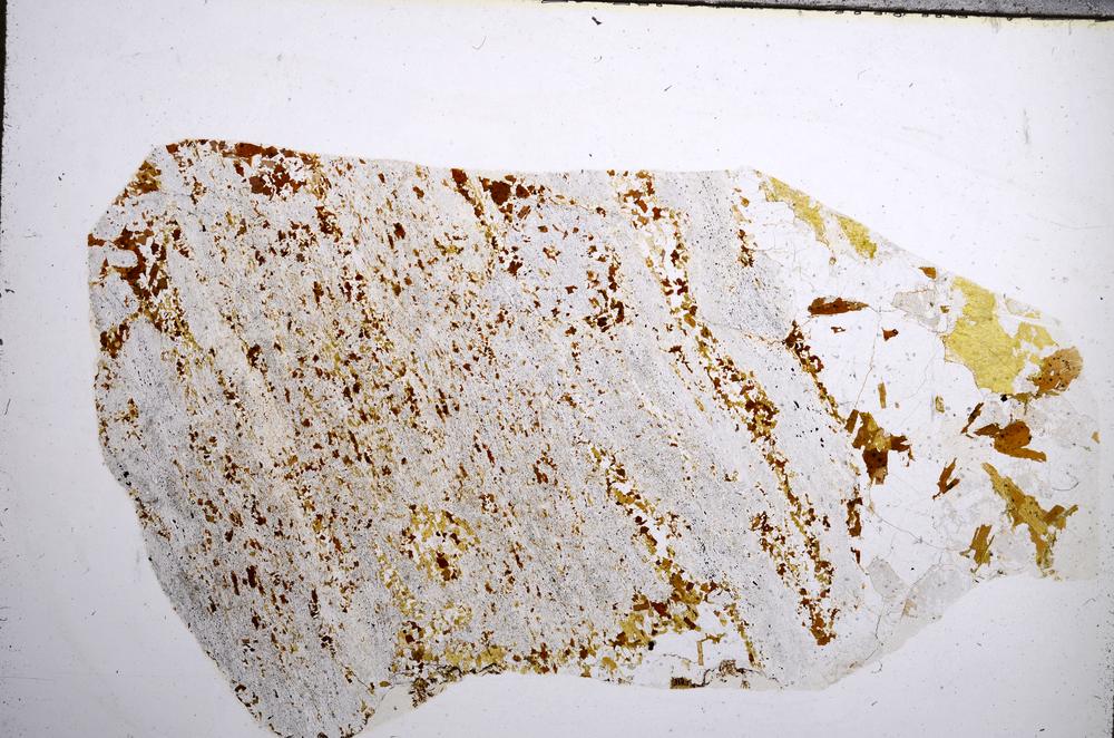 Plane Polarized, E57260