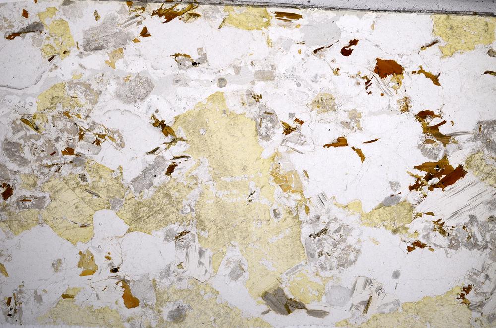 Plane Polarized, E57261