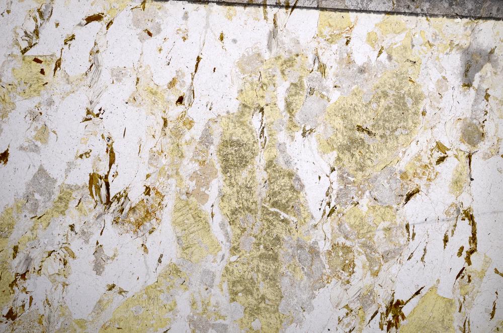 Plane Polarized, E57287