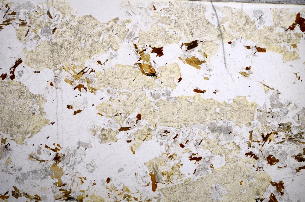 Plane Polarized, E57292