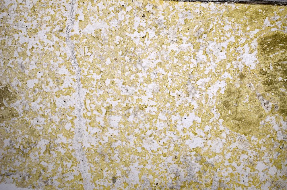 Plane Polarized, E57329
