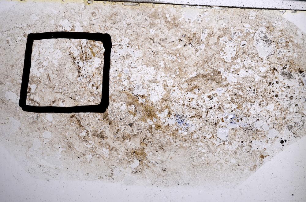 Plane Polarized, E57423