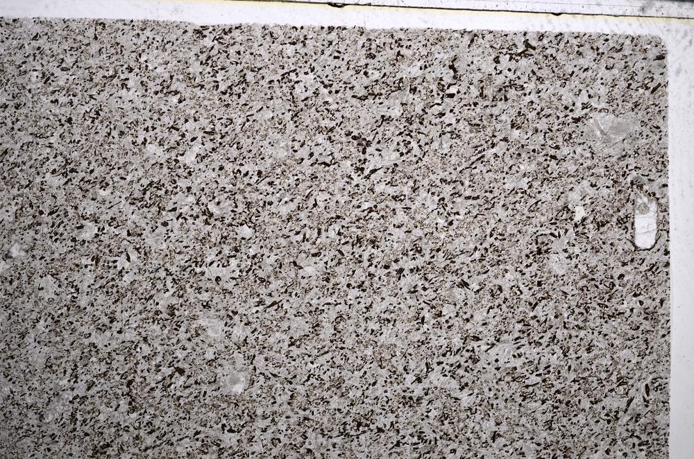 Plane Polarized, E57461