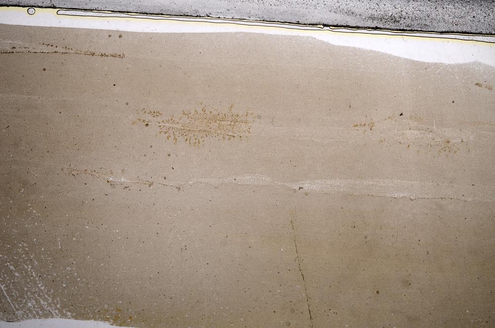 Plane Polarized, E57640