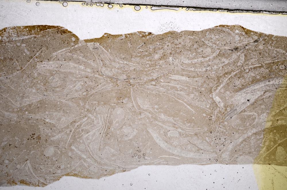 Plane Polarized, E57643