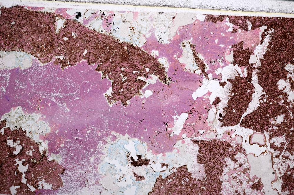 Plane Polarized, E57691