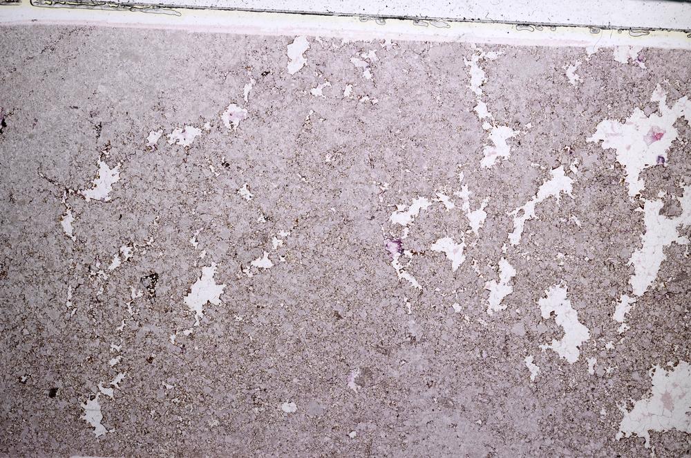 Plane Polarized, E57697