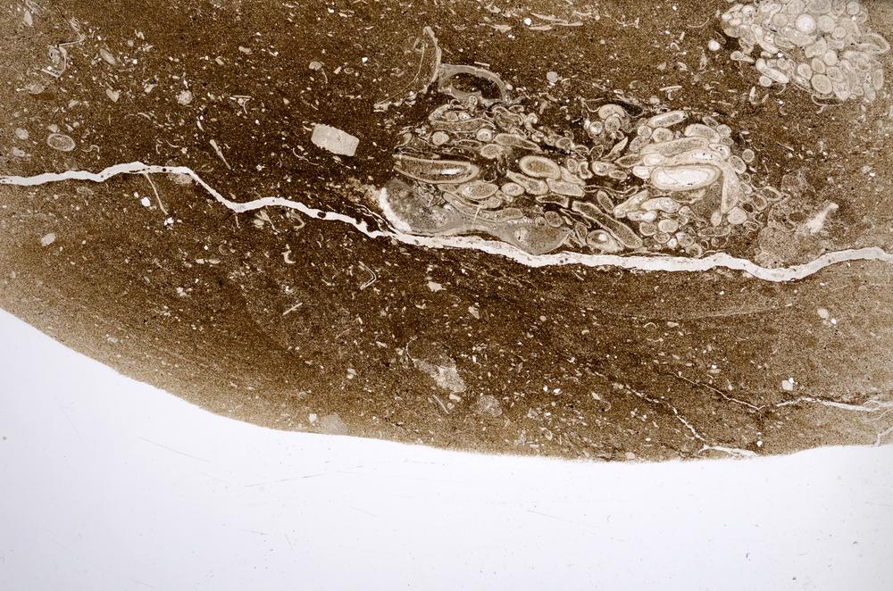 Plane Polarized, E57705