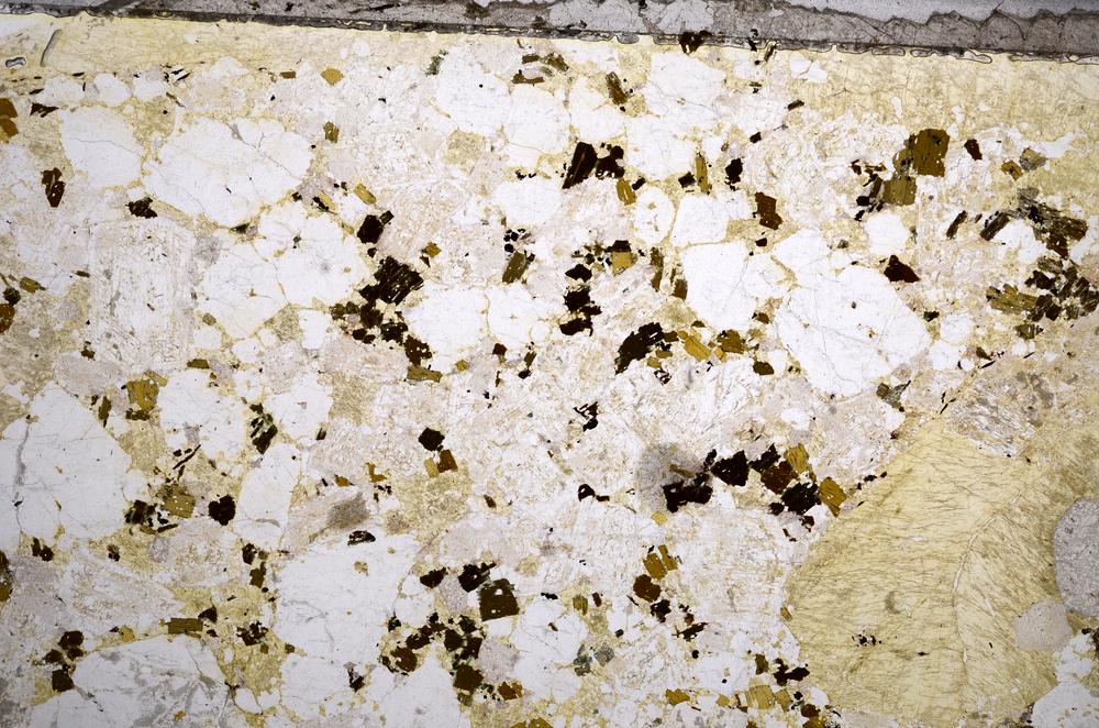 Plane Polarized, E57993