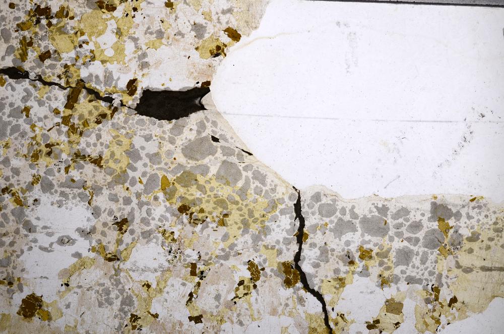 Plane Polarized, E57994/A