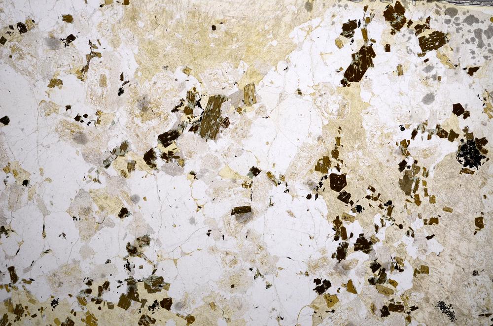 Plane Polarized, E58000/A