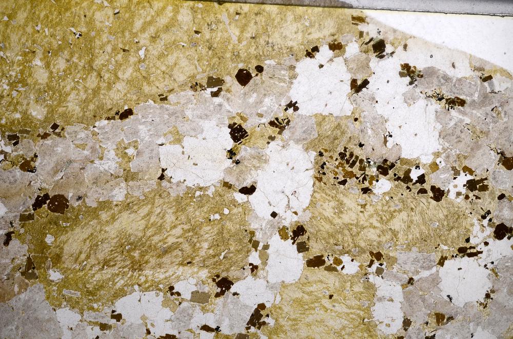 Plane Polarized, E58000/B