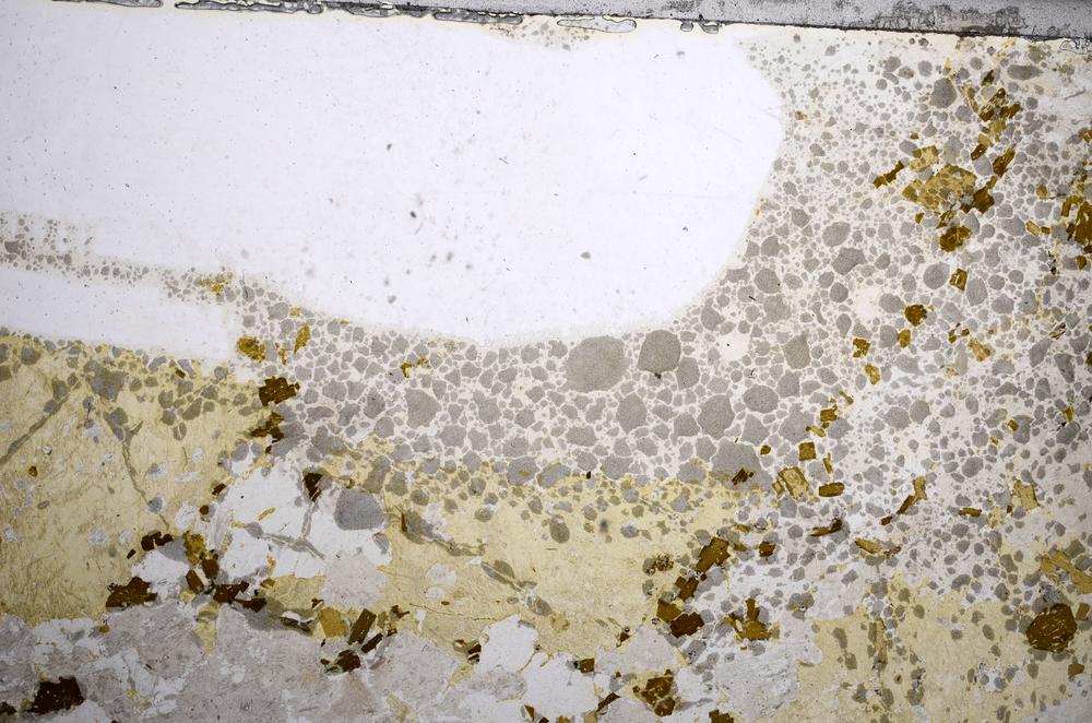 Plane Polarized, E58001