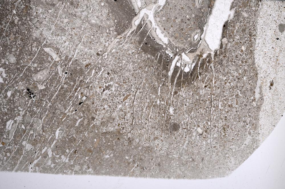 Plane Polarized, E58124