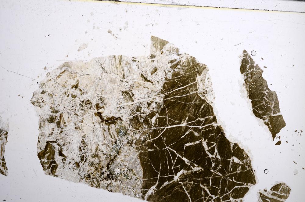 Plane Polarized, E58191