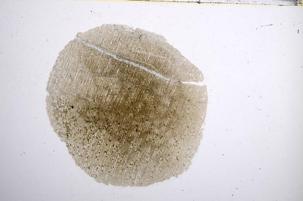 Plane Polarized, E58192