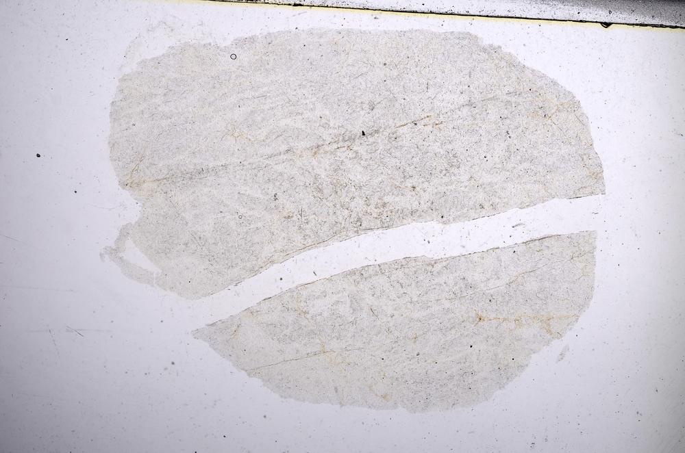 Plane Polarized, E58193/A