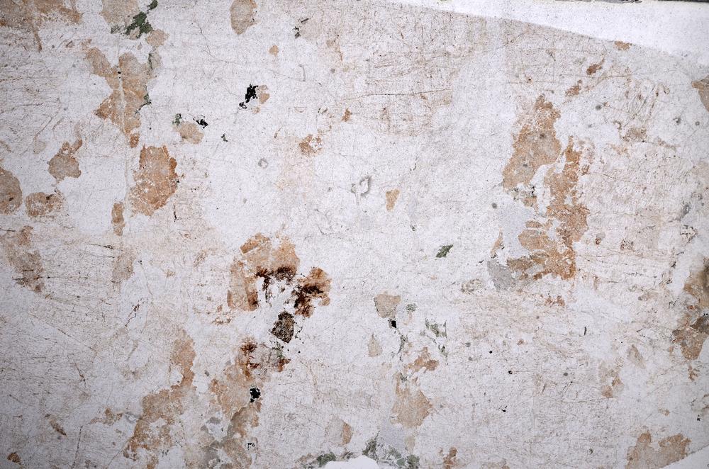 Plane Polarized, E58274/B