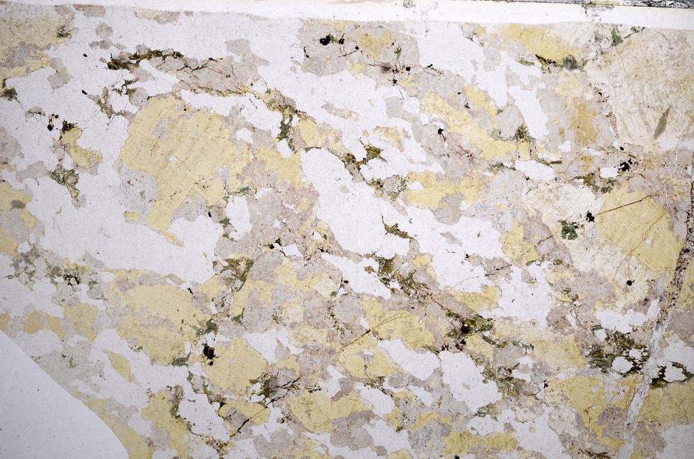 Plane Polarized, E58283/A