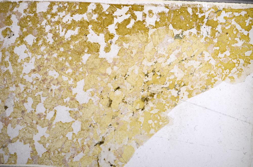 Plane Polarized, E58299/A