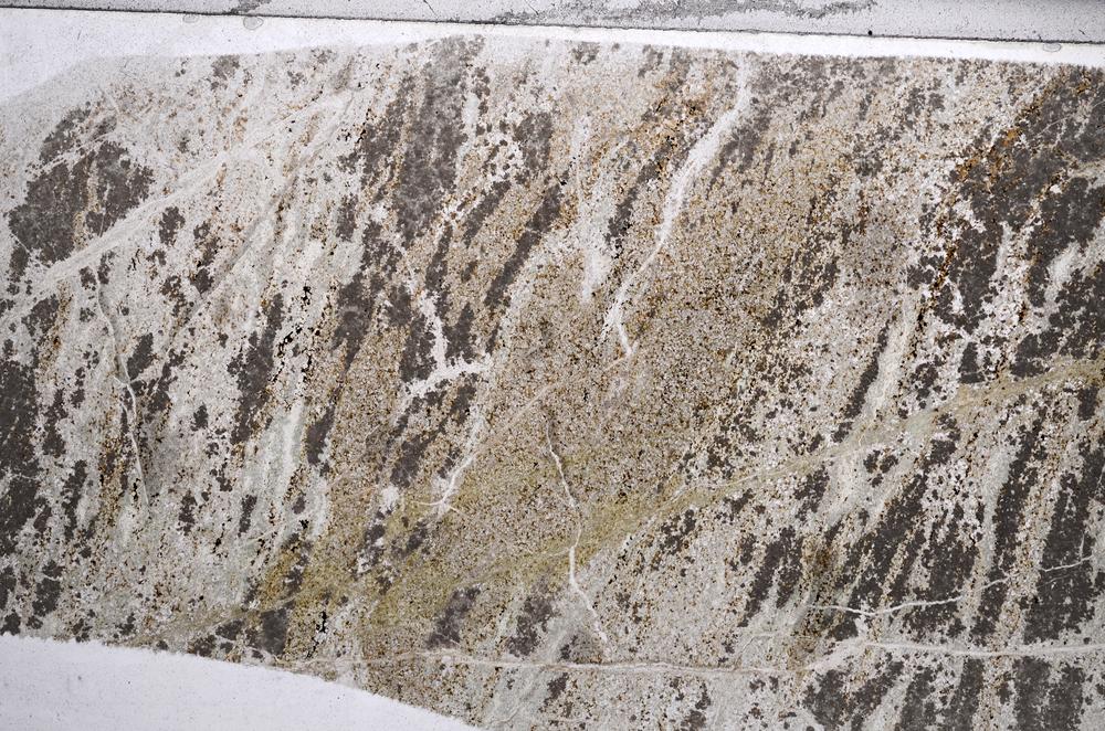 Plane Polarized, E58407