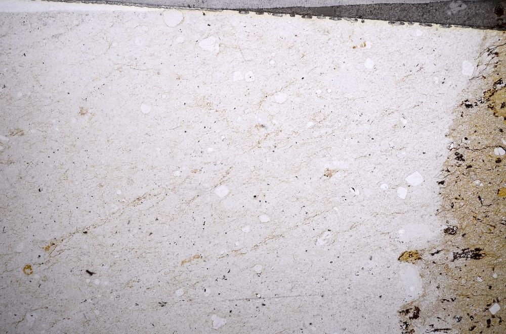 Plane Polarized, E58489