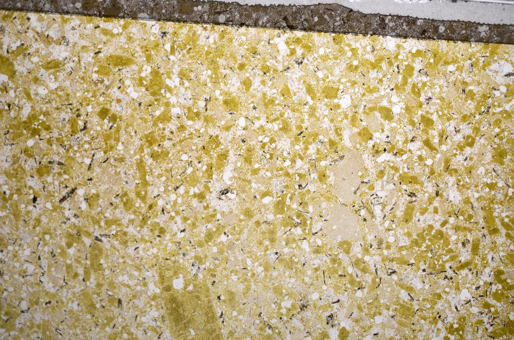 Plane Polarized, E58503