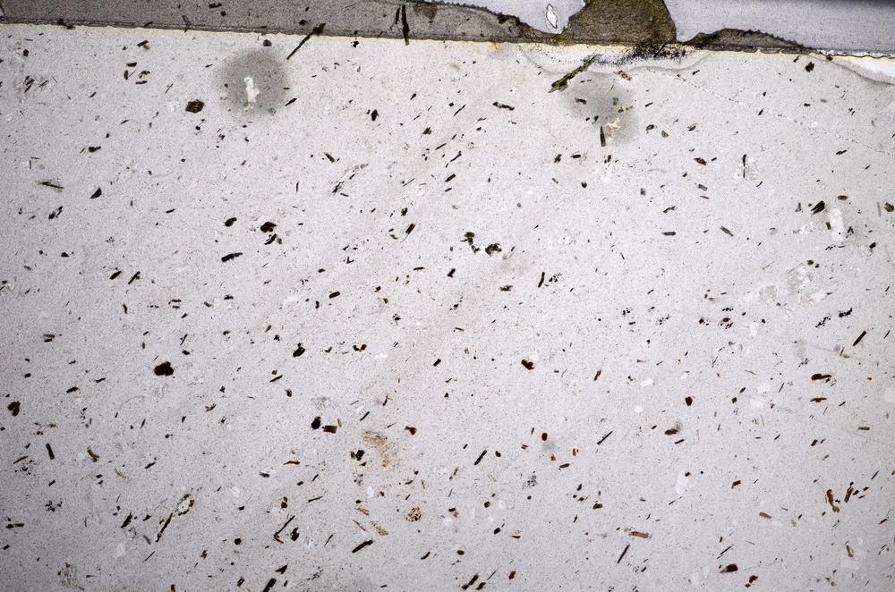 Plane Polarized, E58515