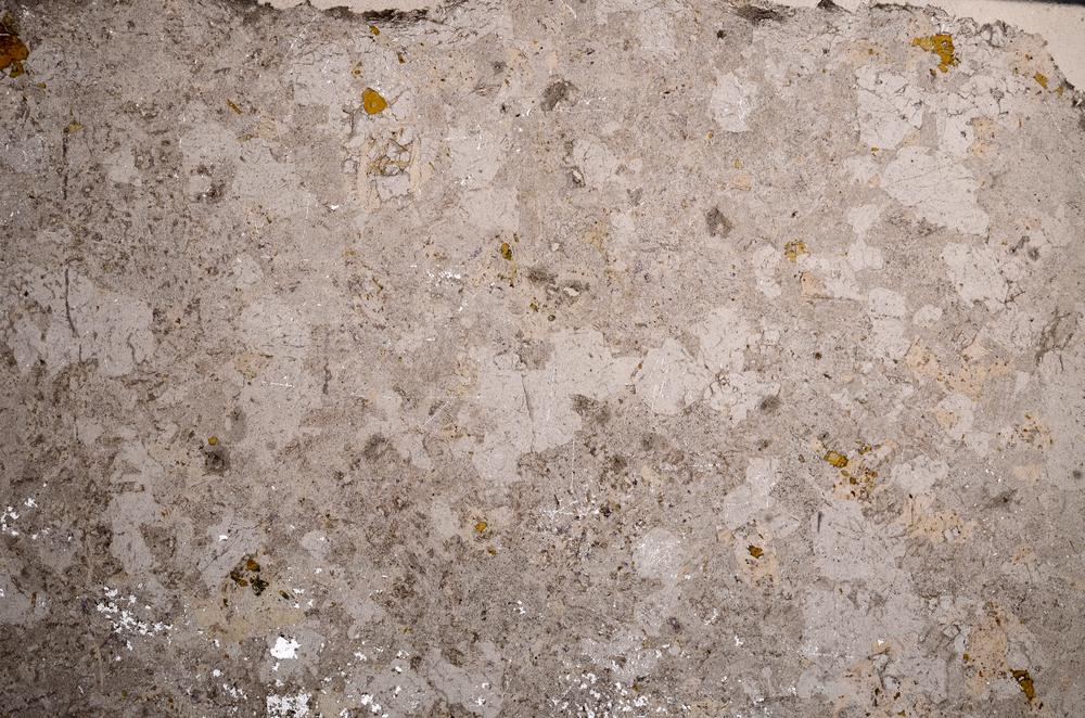 Plane Polarized, E58576/A