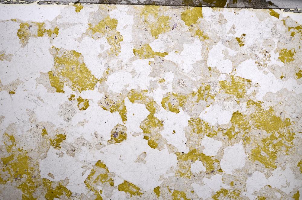 Plane Polarized, E58577/B