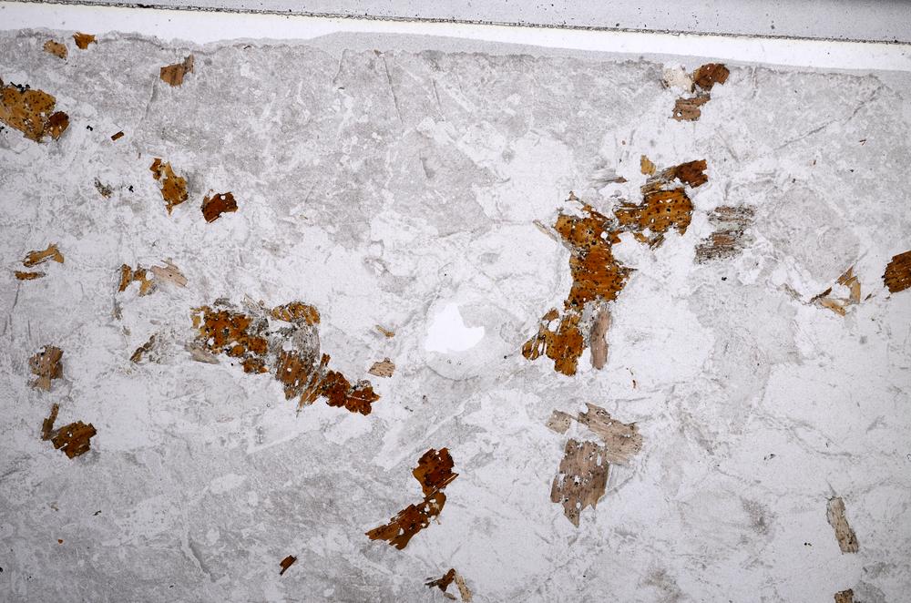 Plane Polarized, E58586