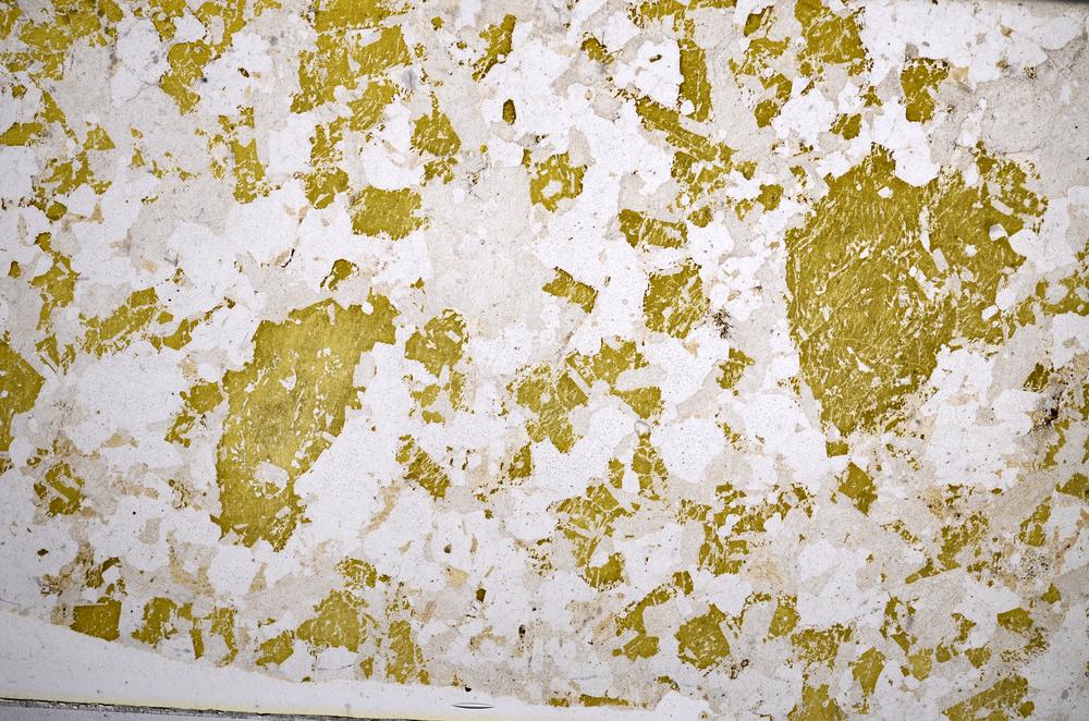 Plane Polarized, E58587