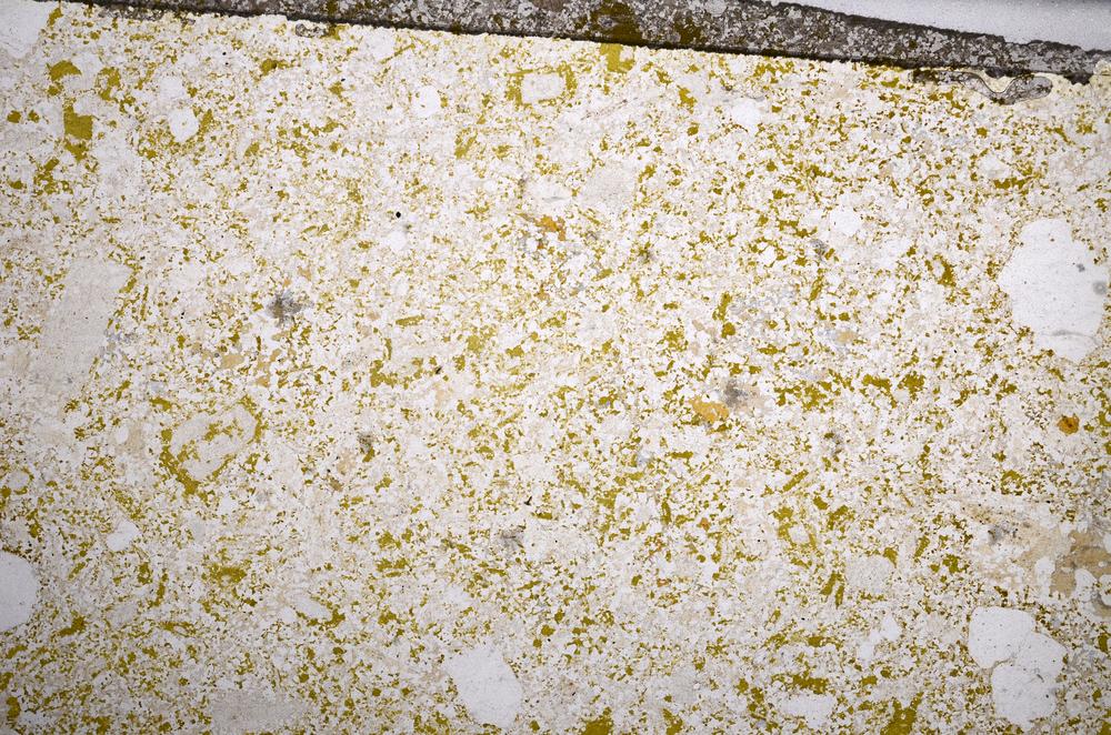 Plane Polarized, E58588