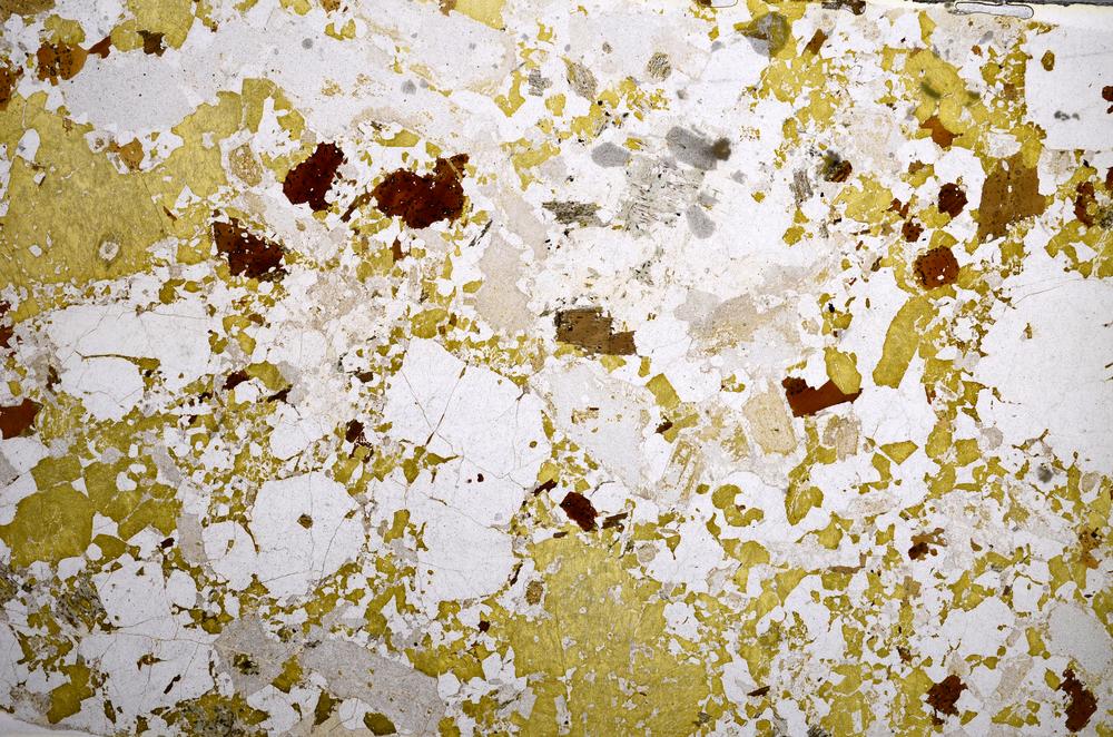 Plane Polarized, E58589