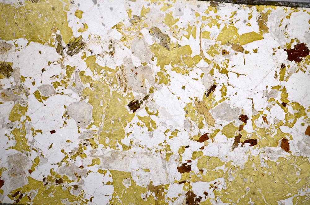 Plane Polarized, E58591