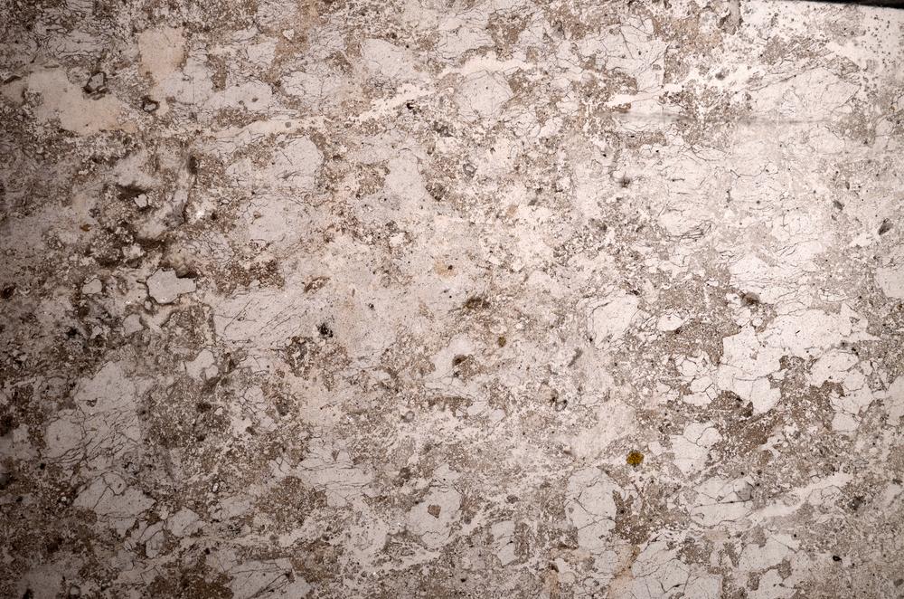 Plane Polarized, E58604