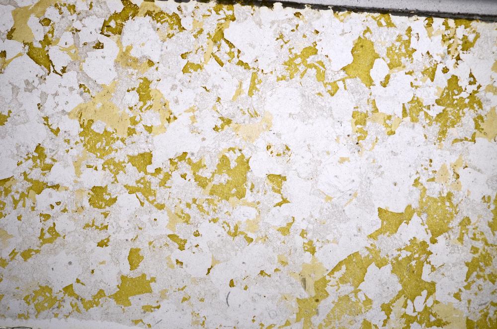 Plane Polarized, E58608