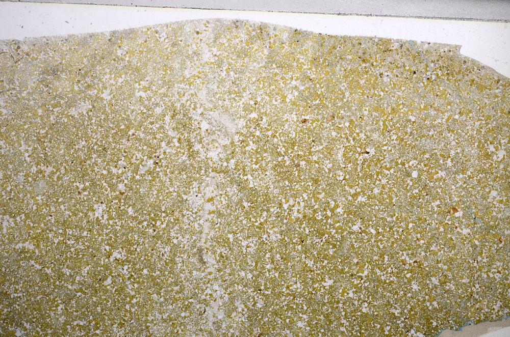 Plane Polarized, E58618