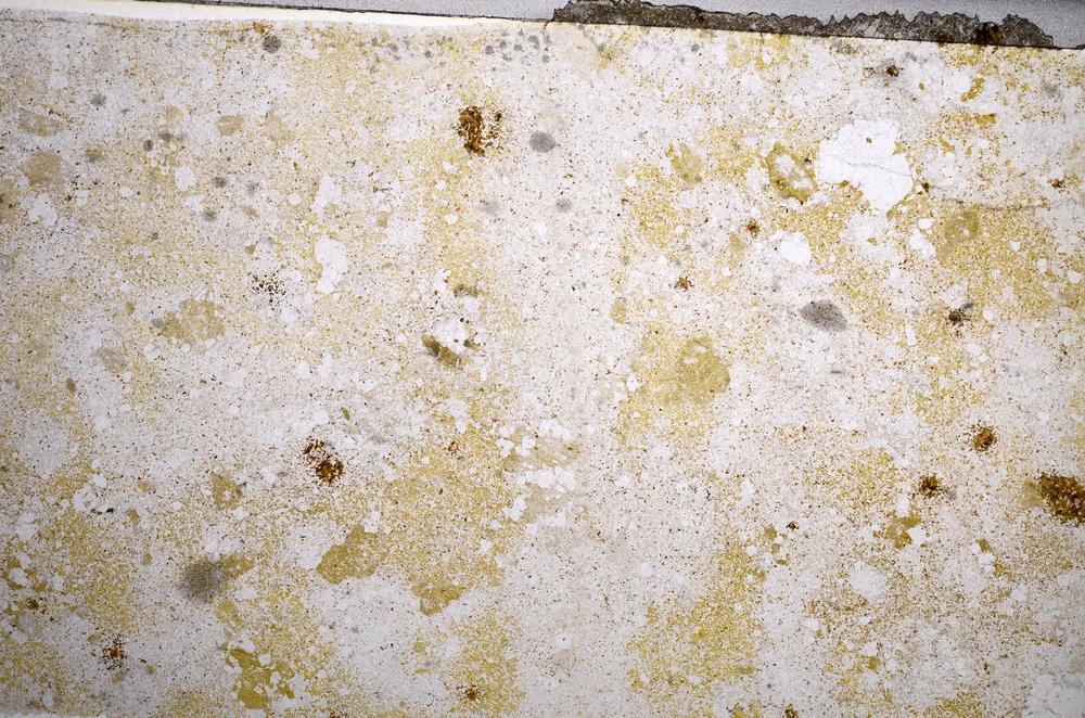 Plane Polarized, E58619