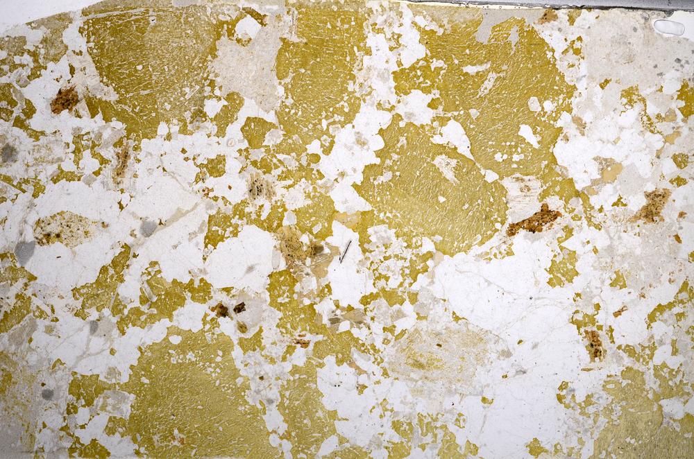 Plane Polarized, E58632