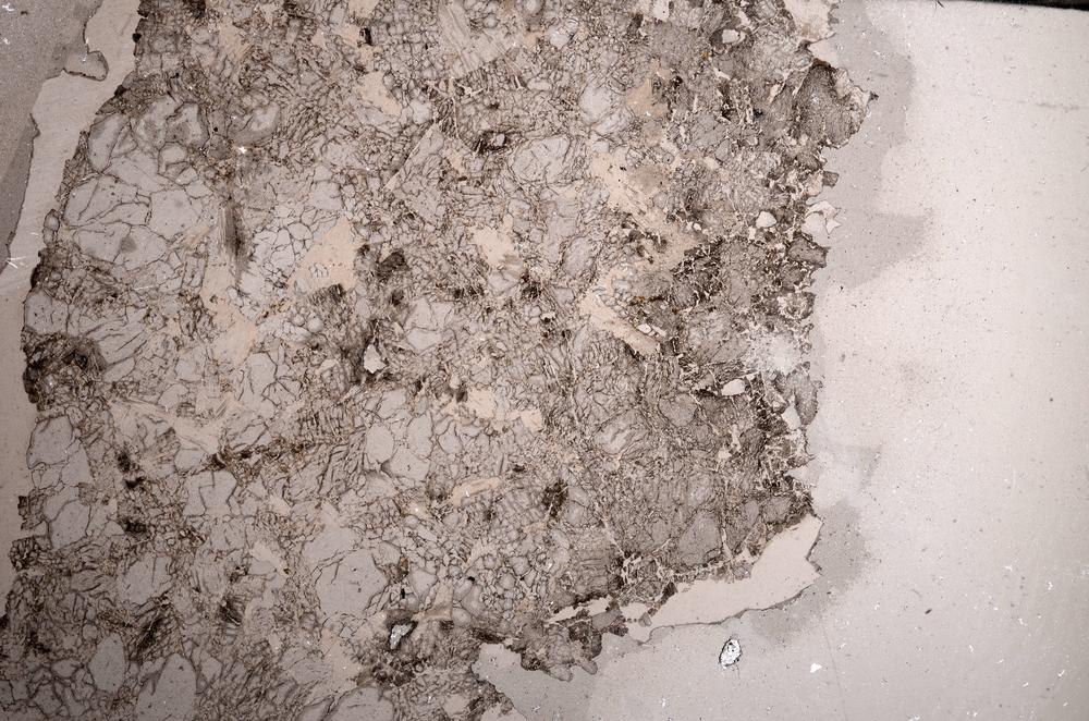 Plane Polarized, E58642/A