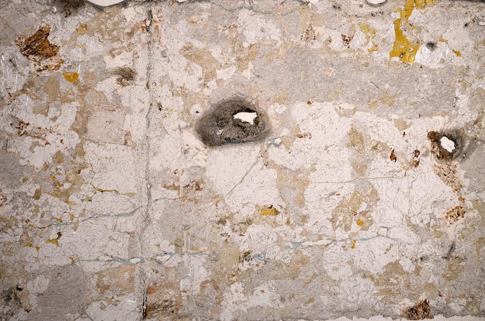 Plane Polarized, E58648/A