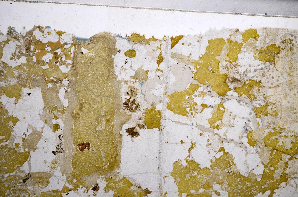 Plane Polarized, E58648/B