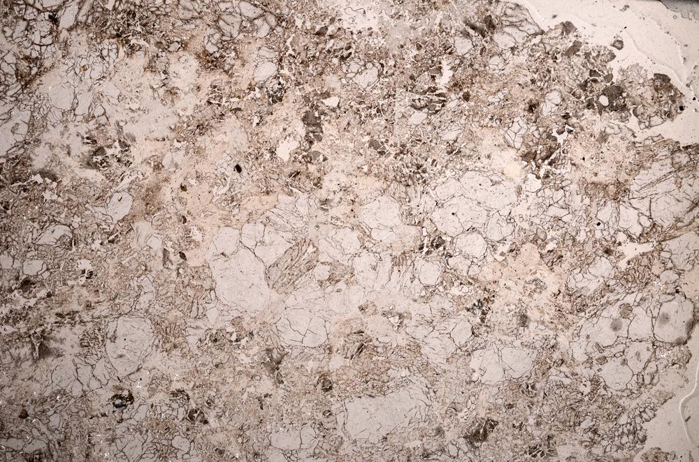 Plane Polarized, E58655/A