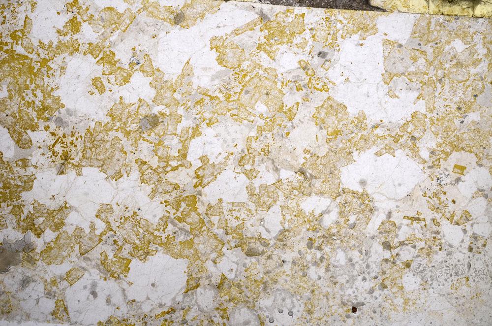 Plane Polarized, E58655/B