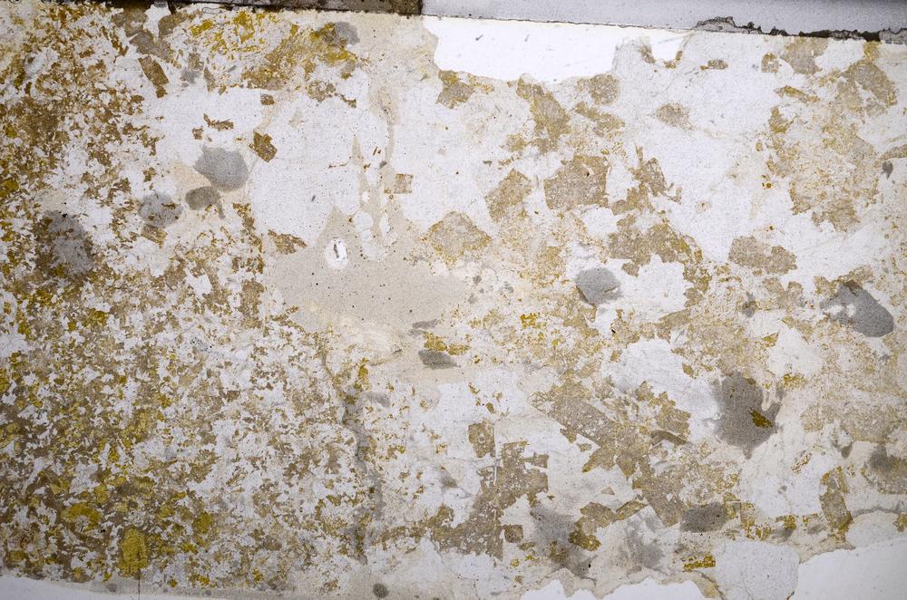 Plane Polarized, E58720