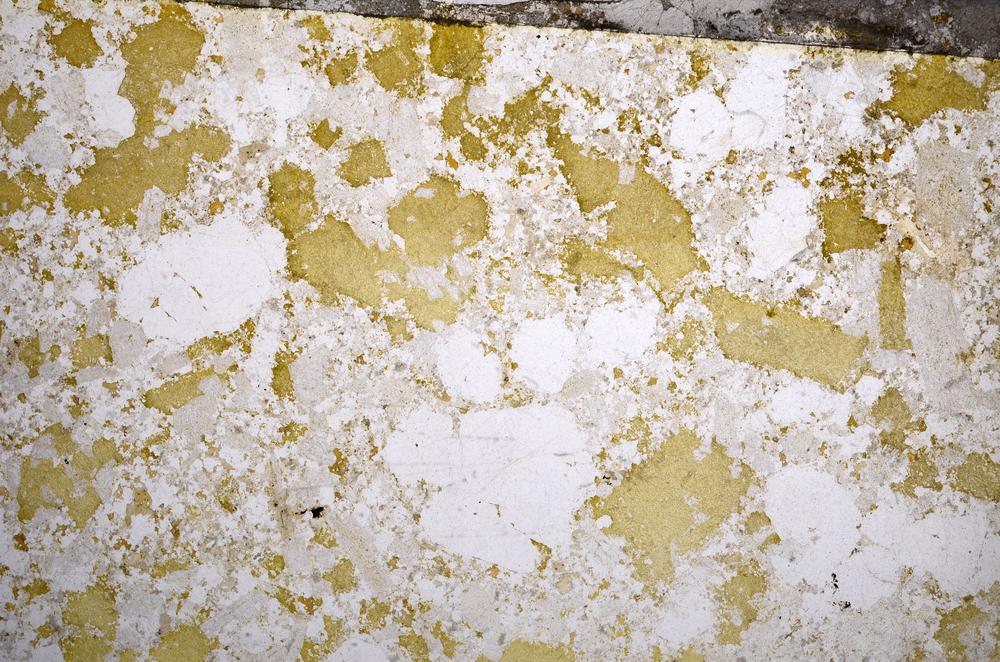 Plane Polarized, E58738