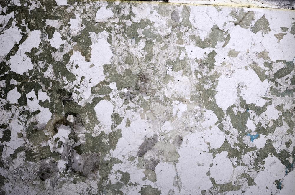 Plane Polarized, E58743